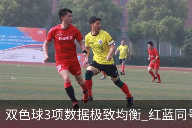 双色球3项数据极致均衡 红蓝同号或成制胜法宝